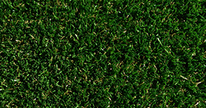 24mm pile height hardwearing soft, durable, non infill monofilament grass surface. Best for lawns pathways and play areas. Artificial Grass Installers in Dorset.