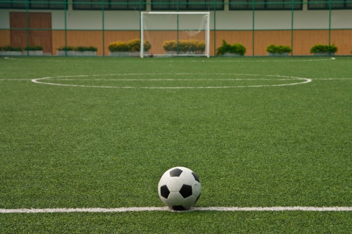 Sports turf and putting green for sports surfaces and pitches in Dorset