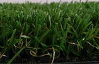 Side View - Superior Style Grass, suitable for lawns pathways and play areas