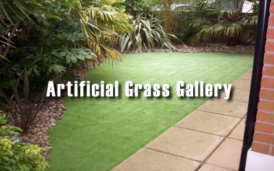 Artificial Grass Gallery
